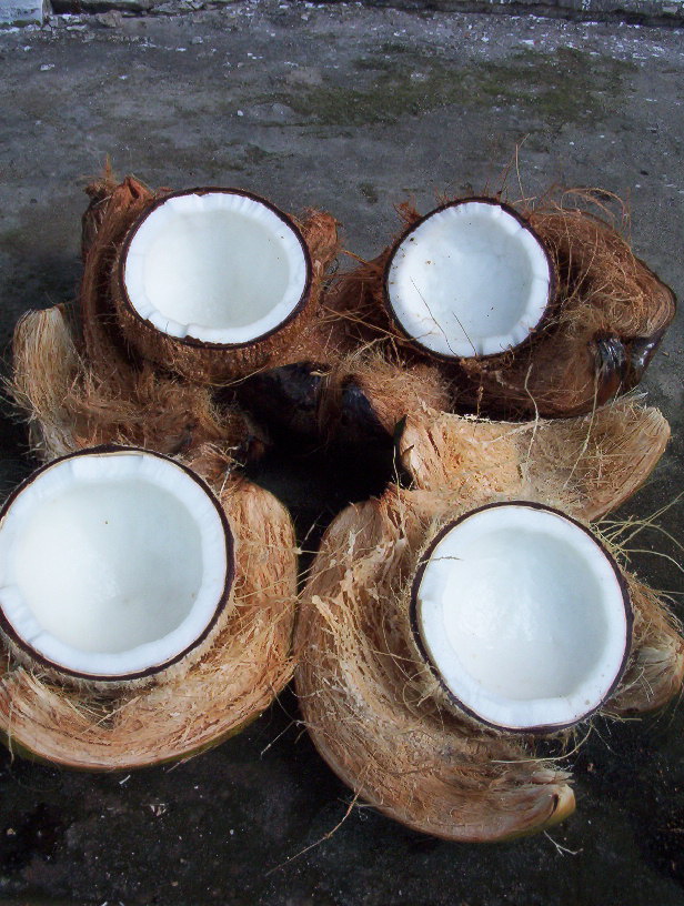 Petua Mewarna Rambut DIY Supaya Tidak Bersekat