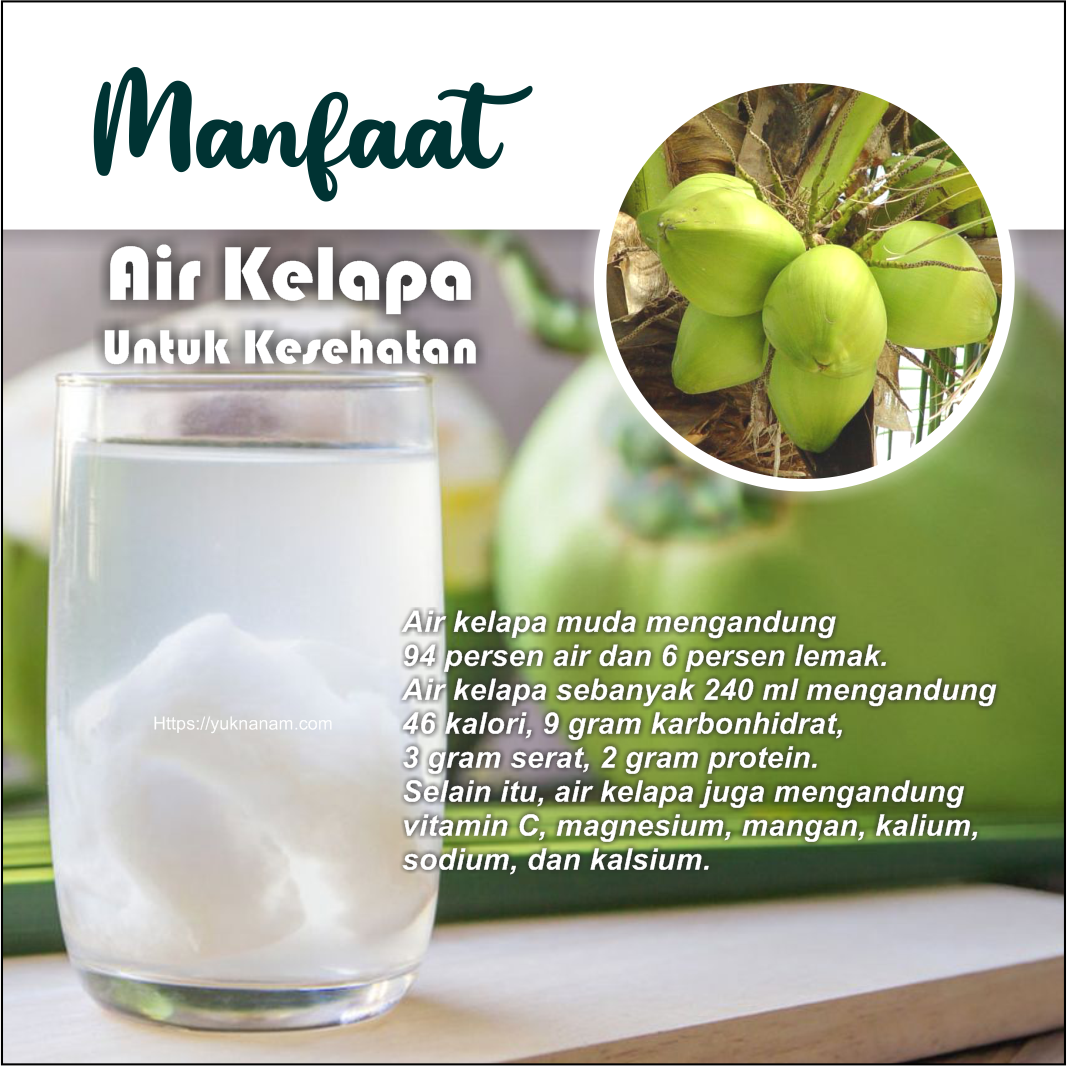 Air Kelapa Muda – Adakah Ia Sangat Baik Untuk Kulit Anda?